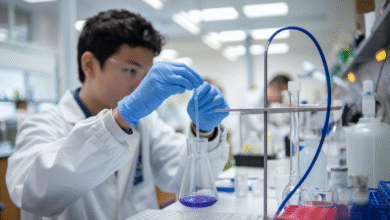 Unlocking the Future: M Tech Biotechnology and Its Amazing Opportunities
